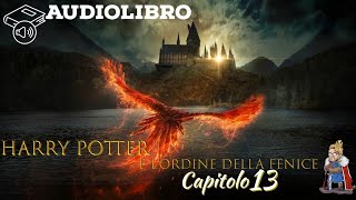 Audiolibro  Harry Potter e lordine della fenice  Lettura e Commento Cap 13 [upl. by Oned]