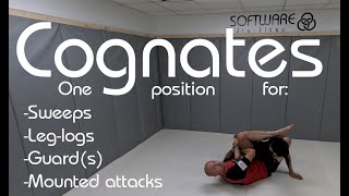 Cognates A single position for sweeps leglocks guards and mounted attacks in JiuJitsu [upl. by Frechette]