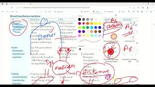 Blood transfusion reactions and autoantibodies  Immunology  First Aid Lectures  Lec26 drjamil [upl. by Naic]