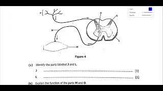 BIOLOGY PAPER 2 2024 PART 2Q3 TO Q4SECTION A [upl. by Cecelia]