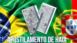 Como fazer o apostilamento de Haia tudo sobre [upl. by Anaitsirc]