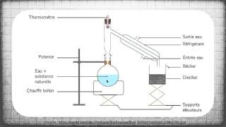 Hydrodistillation  une technique dextraction [upl. by Noscire480]