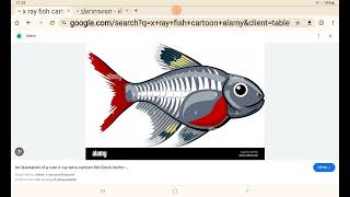 กิจกรรมส่งเสริมพฤติกรรมสัตว์ มหาสมุทรแอตแลนติก🌏 ปลากระจกพริสเทลล่า Xray fish 🩻 🐟 [upl. by Aklam]