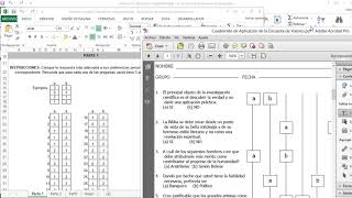 Calificación Automatizada Allport [upl. by Llertak495]