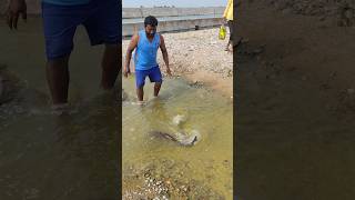 Big valga చేప 10kg ll pleasesubscribe 🐬🐬🐬 [upl. by Adair]