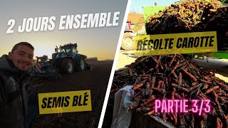 Semis de blé et arrachage de carottes 2 jours ensemble partie 33 [upl. by Cormier]