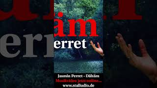 quotDähämquot die Hymne für die Pfalz von Jasmin Perret ist da jasminperret dähäm shorts  STALLUDIO [upl. by Anerol]