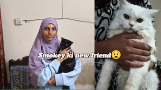 Recipe successful 😋  Tennis khela  Adan Gull vlogs [upl. by Rodrich]