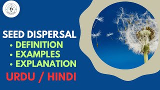 What is SEED DISPERSAL URDU  HINDI [upl. by Damas]