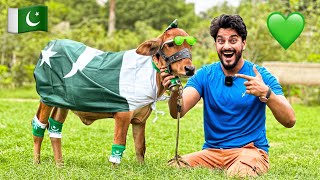 BASANTI KO 14 AUGUST🇵🇰 KI CELEBRATION KARWA DI😍 BABY COW  INDEPENDENCE DAY  MISHKAT KHAN [upl. by Eldorado]