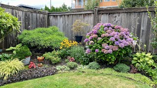 Garden Tour Back Yard 4K  August 25 2024 [upl. by Analihp206]