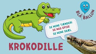 🐊Krokodille🐊 Sjov og lærerig film Se ægte krokodiller synge quot5 små aber sad på en grenquot [upl. by Penthea]