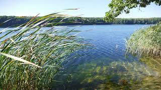 Jezioro Góreckie w Jeziorach Wielkopolski Park Narodowy 4K [upl. by Ruberta]