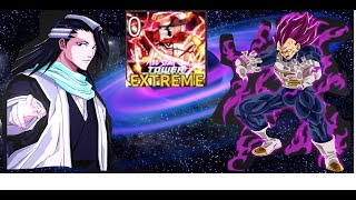 ASTD Infinite Extreme With Vegeta Ego 7 Star and Zyaya 6 Star [upl. by Eldreeda]