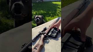 Sniper Mauser Kar98 Review [upl. by Rosita]