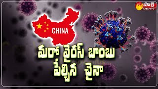 మానవాళి ముందు మరో పెను ముప్పు  Danger Corona Virus NEO COV Variant Detected Sakshi TV [upl. by Oiramej]