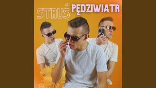 STRUŚ PĘDZIWIATR [upl. by Naxor]