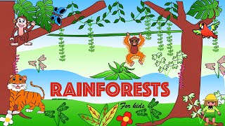 Tropical rainforests for Kids  Facts and Quiz [upl. by Suneya]