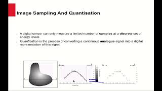 Image Representation and Storage How Image Sampling and Quantization Works [upl. by Rozalin]