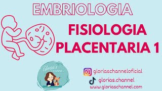 Embriologia humana funciones de la placenta [upl. by Juxon802]