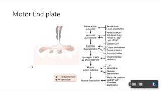 Muscle Relaxants Lecture [upl. by Nivad]