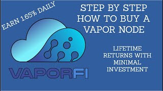 What Are Vapor Nodes and How to Start a Vapor Node [upl. by Aisiram]