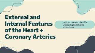 External amp Internal Features of Heart  Coronary Arteries amp Major BV  Jude Ayman Abdalla  CVP 112 [upl. by Nylirahs]