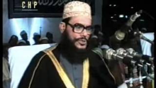 Bangla Waz  Akhirater Alosona  ALLAMA DELWAR HOSSAIN SAYEEDI [upl. by Nayrda824]