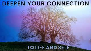 Journey to Deepen Connection with Your Life and Yourself Guided Meditation [upl. by Eejan]