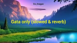 Gata only  slowed amp reverb  djhragav [upl. by Armillas832]