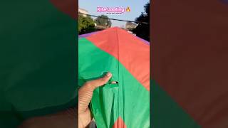 Kite Looting Short 😍 viralvideo kite harshkiteofficial kiteflying shorts [upl. by Aivizt449]