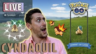 Cyndaquil Community Day Classic Shiny Grind Pokemon GO [upl. by Laet529]