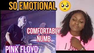 GenZ react to Pink Floyd  Comfortably numb pulse [upl. by Hephzipah9]