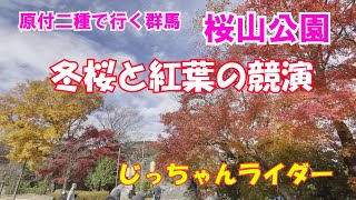 原付二種 じっちゃんライダー 群馬 桜山公園ツーリング [upl. by Euf505]