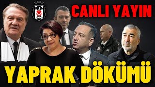 Beşiktaşta Yaprak Dökümü  beşiktaş okaykaracan ışılzeybek onurgöçmez sametaybaba friedel [upl. by Aicinat]