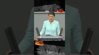 Eine Lehre ziehen de deutsch germany german news politik new shorts real media bsw [upl. by Epp978]