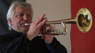 La Marseillaise  French National Anthem  Trumpet [upl. by Grof]