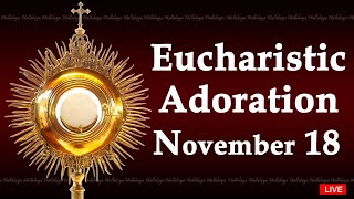 Powerful Eucharistic Adoration I Monday November 18 2024 I 300 Pm [upl. by Jaine695]