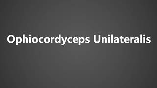 How to Pronounce Ophiocordyceps Unilateralis [upl. by Cele]