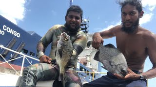 Boat dive in Trinidad trinidad adventures outdoors fishing diving [upl. by Toiboid439]