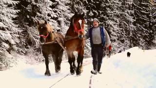 In butin pe valea Vaserului [upl. by Iain]