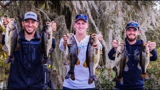 WINTER Fishing In FLORIDA I Need To Move South Amazing Day [upl. by Nawek]