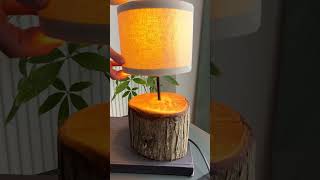 How to make a driftwood lampshade [upl. by Dickerson421]