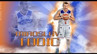 Miroslav Todic  Highlights Season 2013\14 [upl. by Altaf]