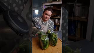 Те самые максимально ХРУСТЯЩИЕ ОГУРЦЫ ПОБЕРЛИНСКИ 🥒 [upl. by Nrubua]