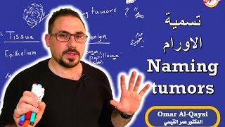 محاضرة في الباثومورفولوجي pathology كيفية تسمية الاورام naming tumors [upl. by Giarc]