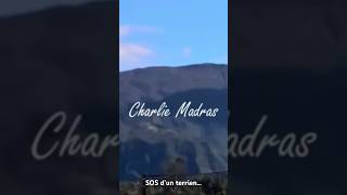 SOS d’un terrien en détresse  Charlie Madras cover clipvidéo musique acapella [upl. by Hannad860]