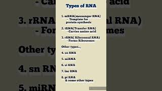 dailyshorts biochemistry rna biology medicalstudent pharmacy science proteinsynthesis gene [upl. by Roosevelt]