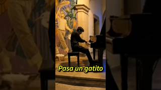 ✨️Cosas normales que pasan cuando tocas en público✨️ piano fun public humor practice music [upl. by Akkimat999]