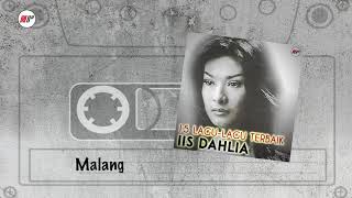 Iis Dahlia  Malang Official Audio [upl. by Atilef641]